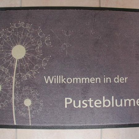 Ferienwohnung Pusteblume Cochem Rum bild
