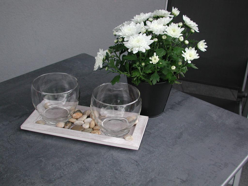 Ferienwohnung Pusteblume Cochem Rum bild
