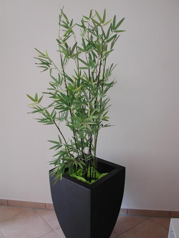 Ferienwohnung Pusteblume Cochem Rum bild